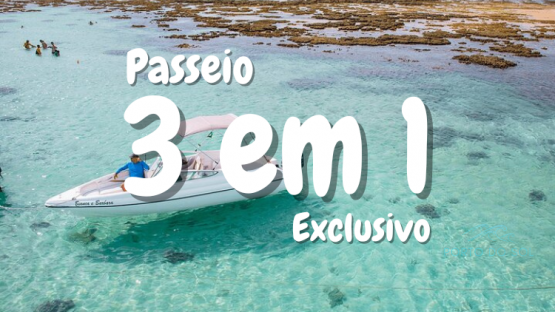 3 em 1 - Exclusivo